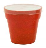 Doniczka z nasionami