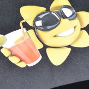 FLEX SOLWENTOWY